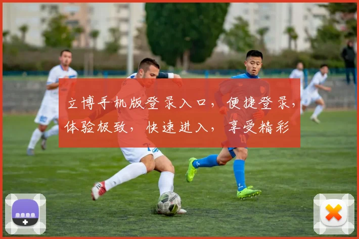 立博手机版登录入口，便捷登录，体验极致，快速进入，享受精彩