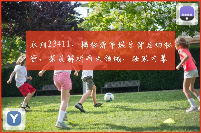 永利23411，揭秘奢华娱乐背后的秘密，深度解析两大领域，独家内幕曝光