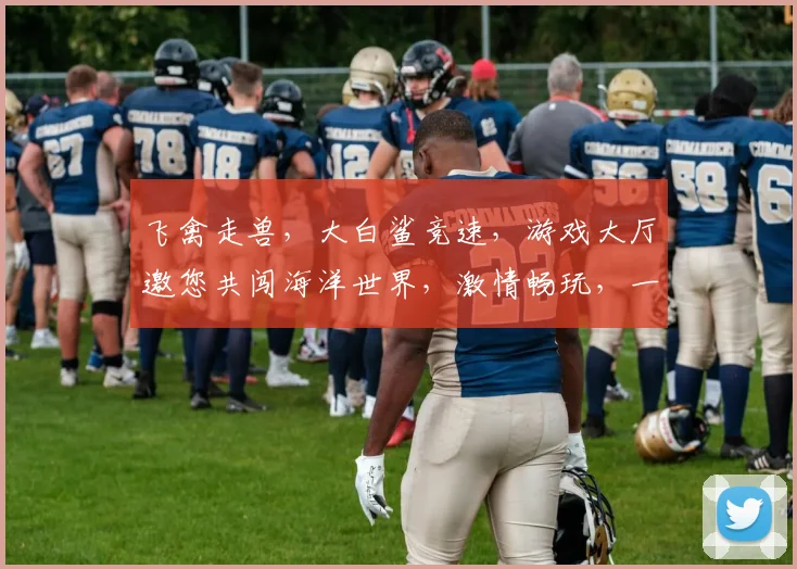 飞禽走兽，大白鲨竞速，游戏大厅邀您共闯海洋世界，激情畅玩，一触即发