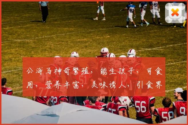 公海马神奇繁殖，能生孩子，可食用，营养丰富，美味诱人，引食界关注三，四，五